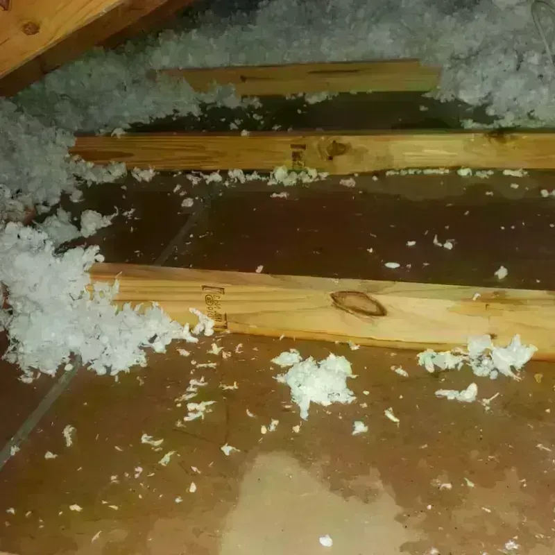 Attic Water Damage in Saint Bernard Parish, LA